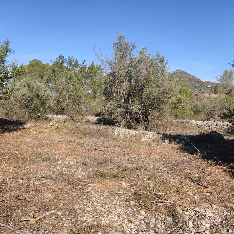 Terreno Non Edificato in vendita in Alcalali / Alcanali - 165.000 € (Rif: 8426898)