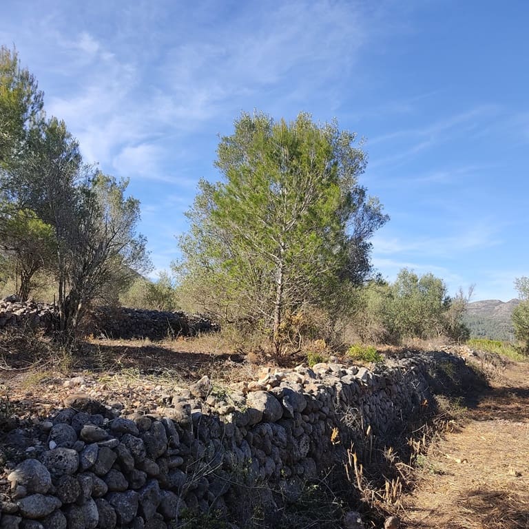 Terreno Non Edificato in vendita in Alcalali / Alcanali - 165.000 € (Rif: 8426898)