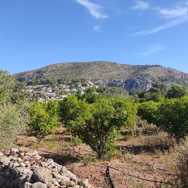 Terreno Non Edificato in vendita in Alcalali / Alcanali - 165.000 € (Rif: 8426898)