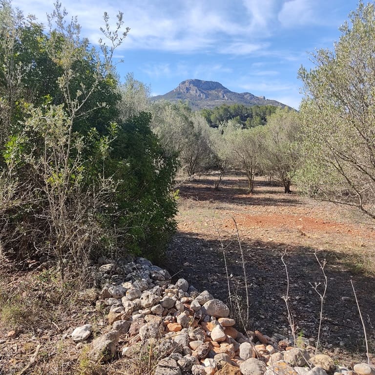 Terreno Non Edificato in vendita in Alcalali / Alcanali - 165.000 € (Rif: 8426898)