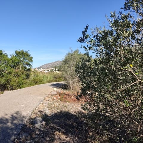 Undeveloped Land for sale in Alcalalí / Alcanalí - € 165,000 (Ref: 8426898)