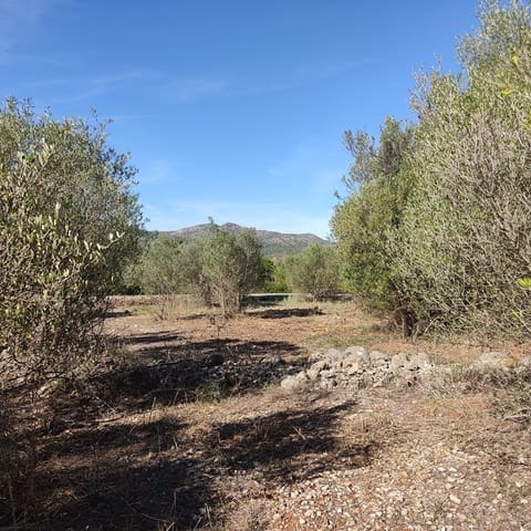 Undeveloped Land for sale in Alcalalí / Alcanalí - € 165,000 (Ref: 8426898)