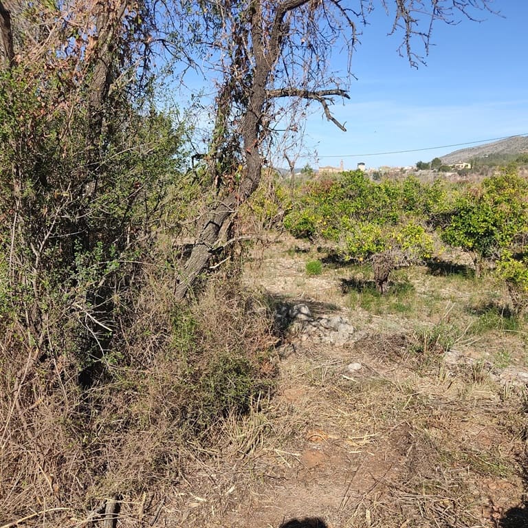 Terreno Non Edificato in vendita in Alcalali / Alcanali - 165.000 € (Rif: 8426898)