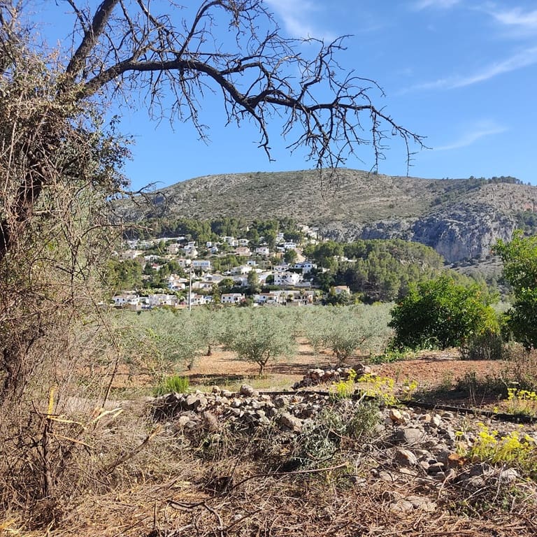 Terreno Non Edificato in vendita in Alcalali / Alcanali - 165.000 € (Rif: 8426898)