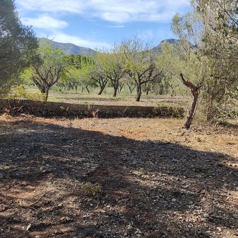 Terreno Non Edificato in vendita in Alcalali / Alcanali - 165.000 € (Rif: 8426898)