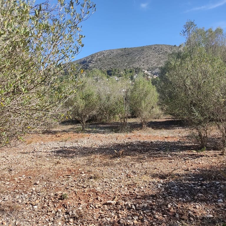 Terreno Non Edificato in vendita in Alcalali / Alcanali - 165.000 € (Rif: 8426898)