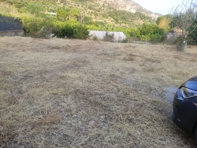 Undeveloped Land for rent in Llosa de Camacho, Alcalalí / Alcanalí - € 600 (Ref: 9160078)