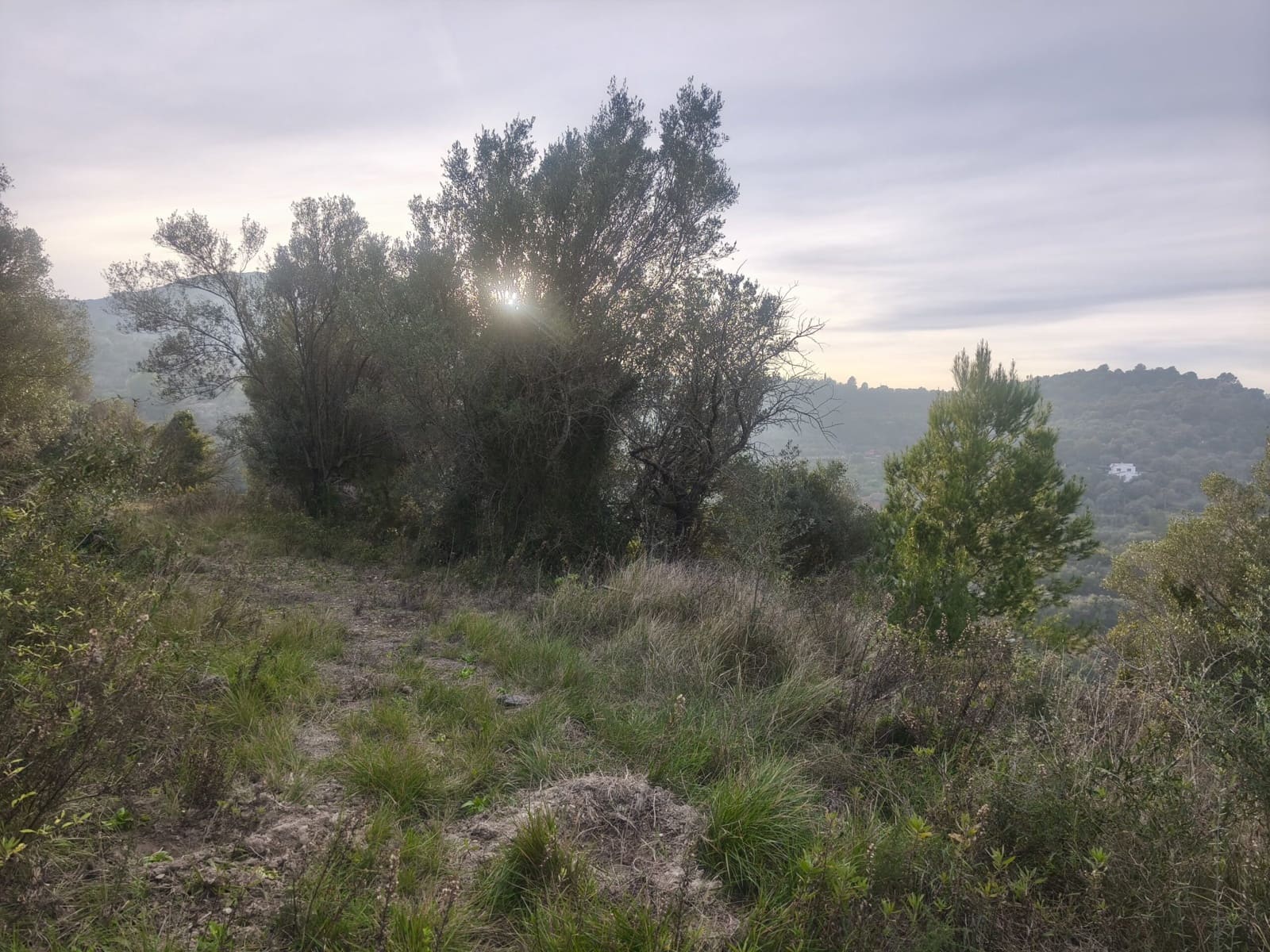 Tontti myytävänä paikassa Benigembla / Benichembla - 80 000 € (Ref: 9713374)