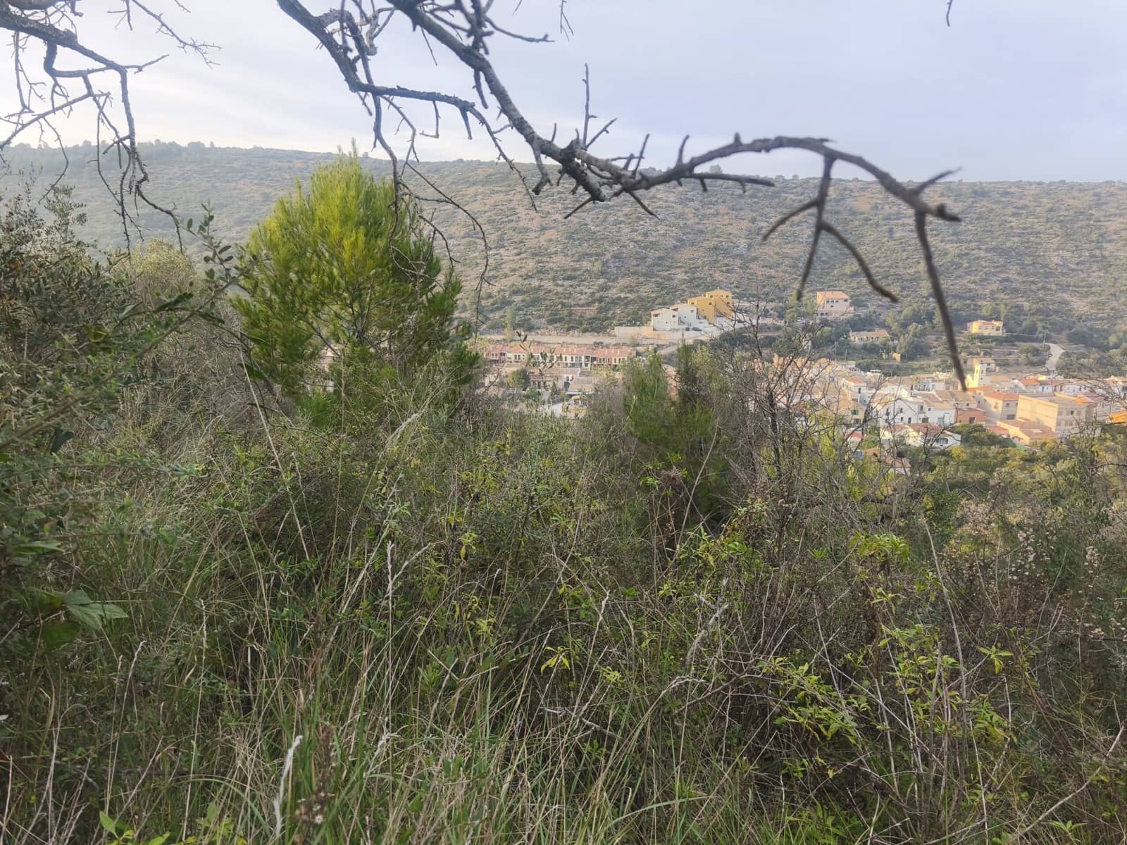 Tontti myytävänä paikassa Benigembla / Benichembla - 80 000 € (Ref: 9713374)