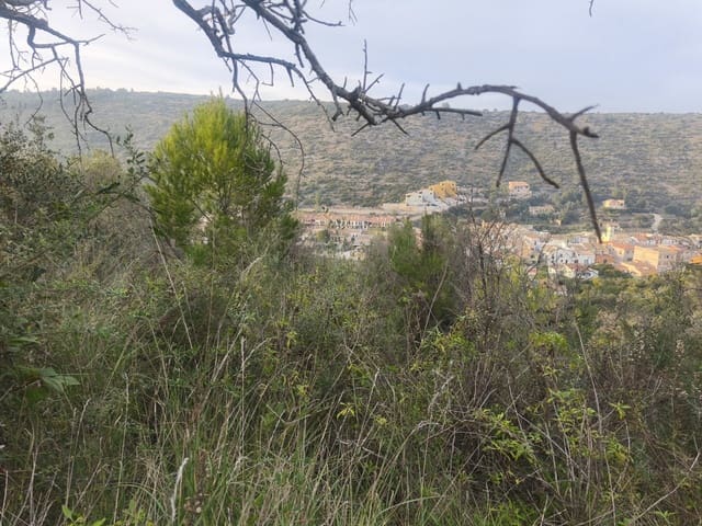 Tontti myytävänä paikassa Benigembla / Benichembla - 80 000 € (Ref: 9713374)