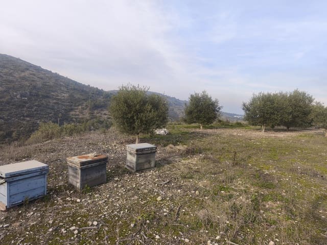 Tontti myytävänä paikassa Benigembla / Benichembla - 80 000 € (Ref: 9713375)