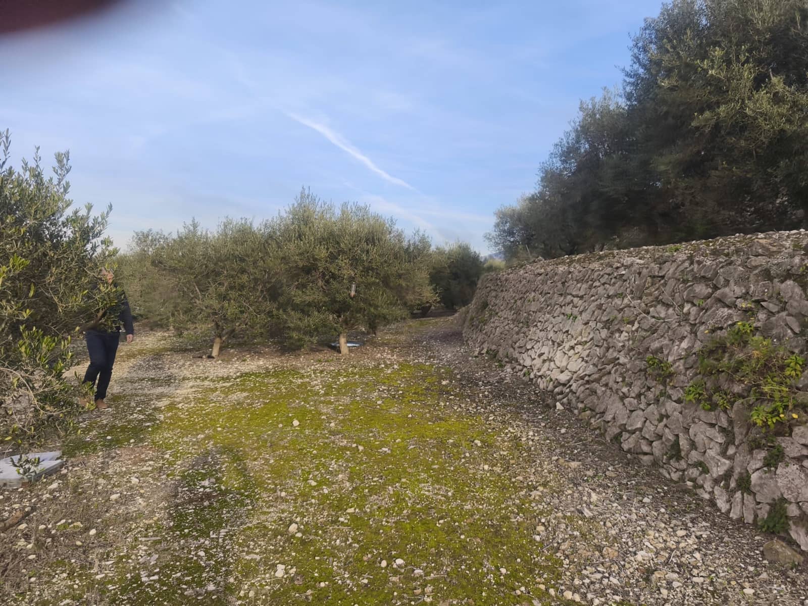 Tontti myytävänä paikassa Benigembla / Benichembla - 80 000 € (Ref: 9713375)