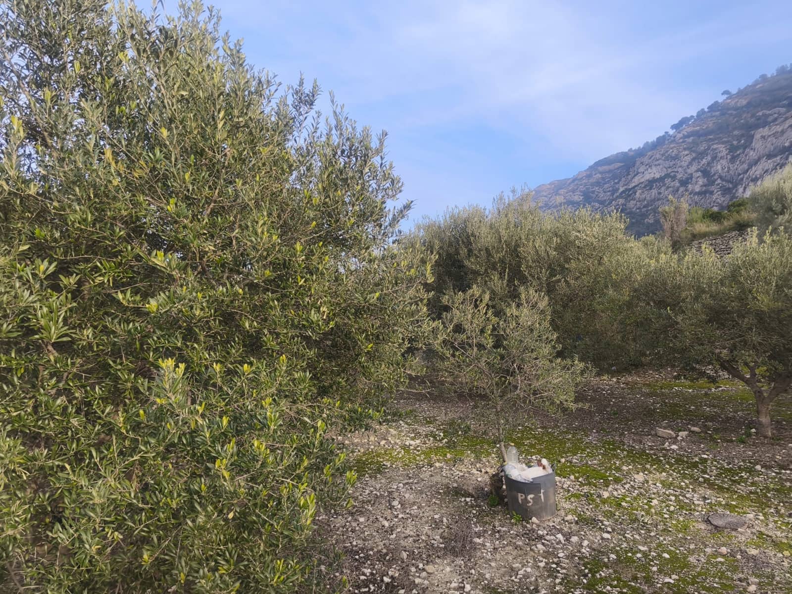 Tontti myytävänä paikassa Benigembla / Benichembla - 80 000 € (Ref: 9713375)