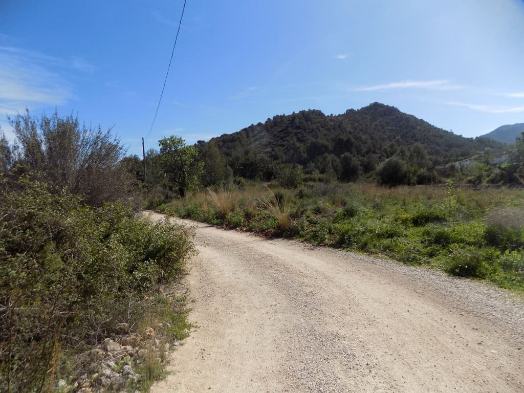 Building Plot for sale in Jalon / Xalo - € 110,000 (Ref: 9723579)