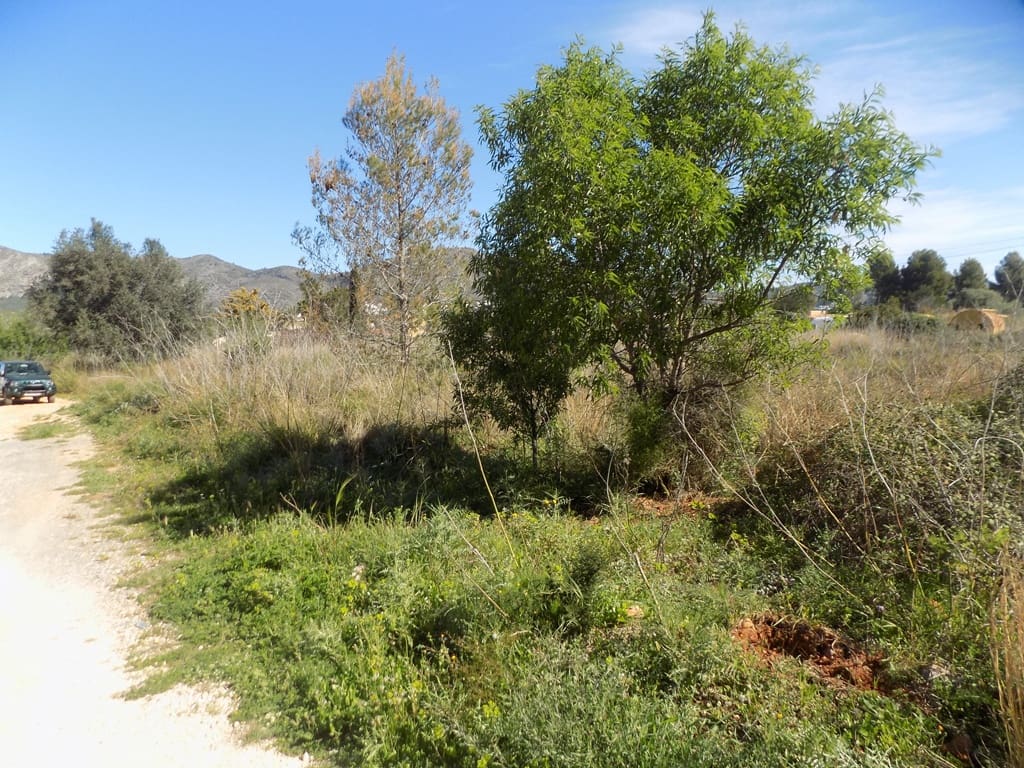 Building Plot for sale in Jalon / Xalo - € 110,000 (Ref: 9723579)