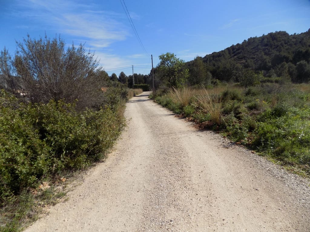 Building Plot for sale in Jalon / Xalo - € 110,000 (Ref: 9723579)