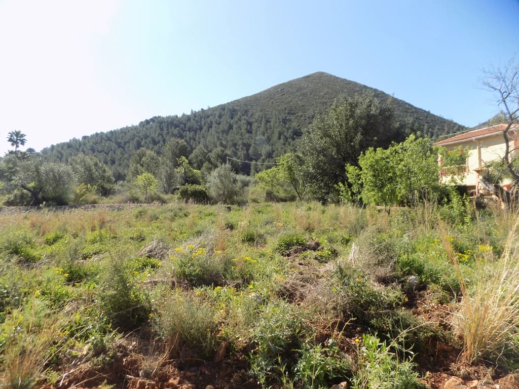 Building Plot for sale in Jalon / Xalo - € 110,000 (Ref: 9723579)