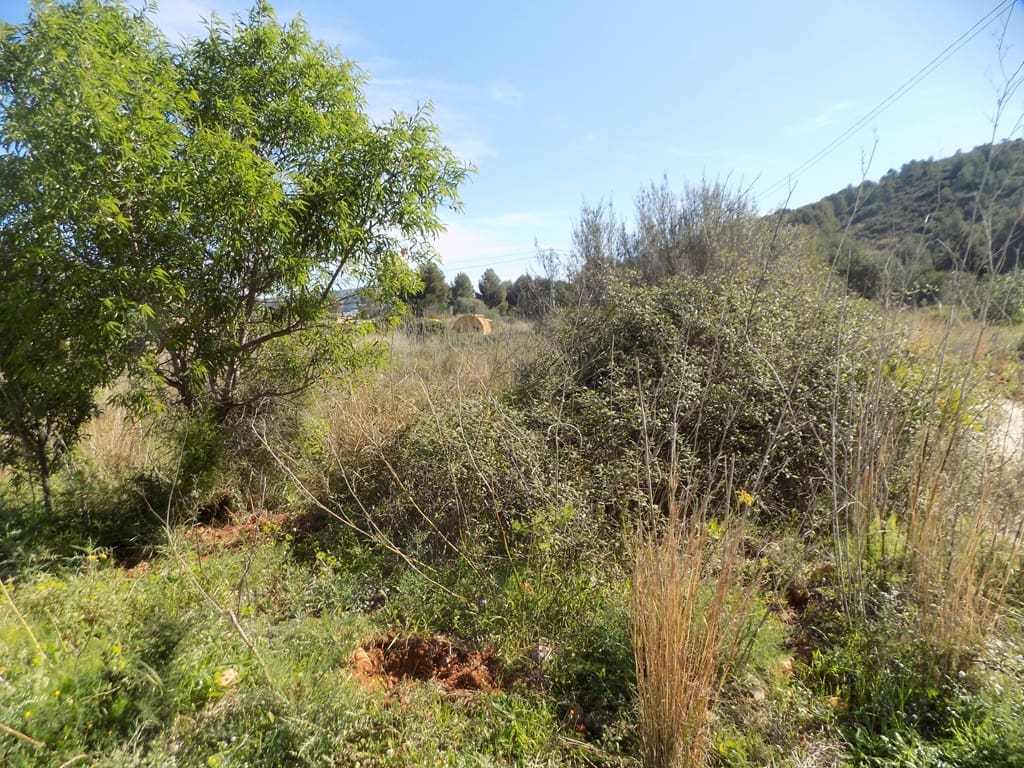 Building Plot for sale in Jalon / Xalo - € 110,000 (Ref: 9723579)
