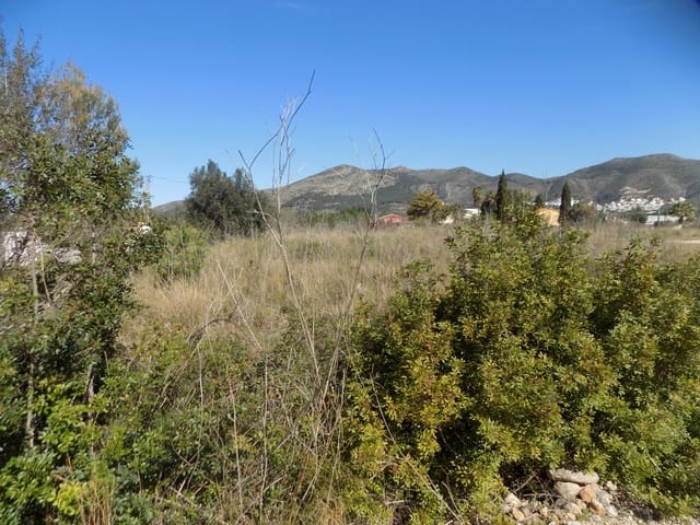Bauplatz zu verkaufen in Alcalalí / Alcanalí - 110.000 € (Ref: 9723579)