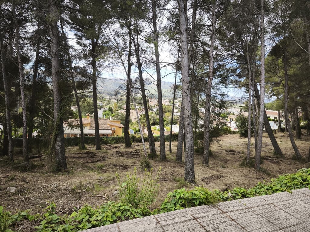 Building Plot for sale in Alcalali / Alcanali - € 300,000 (Ref: 9776836)