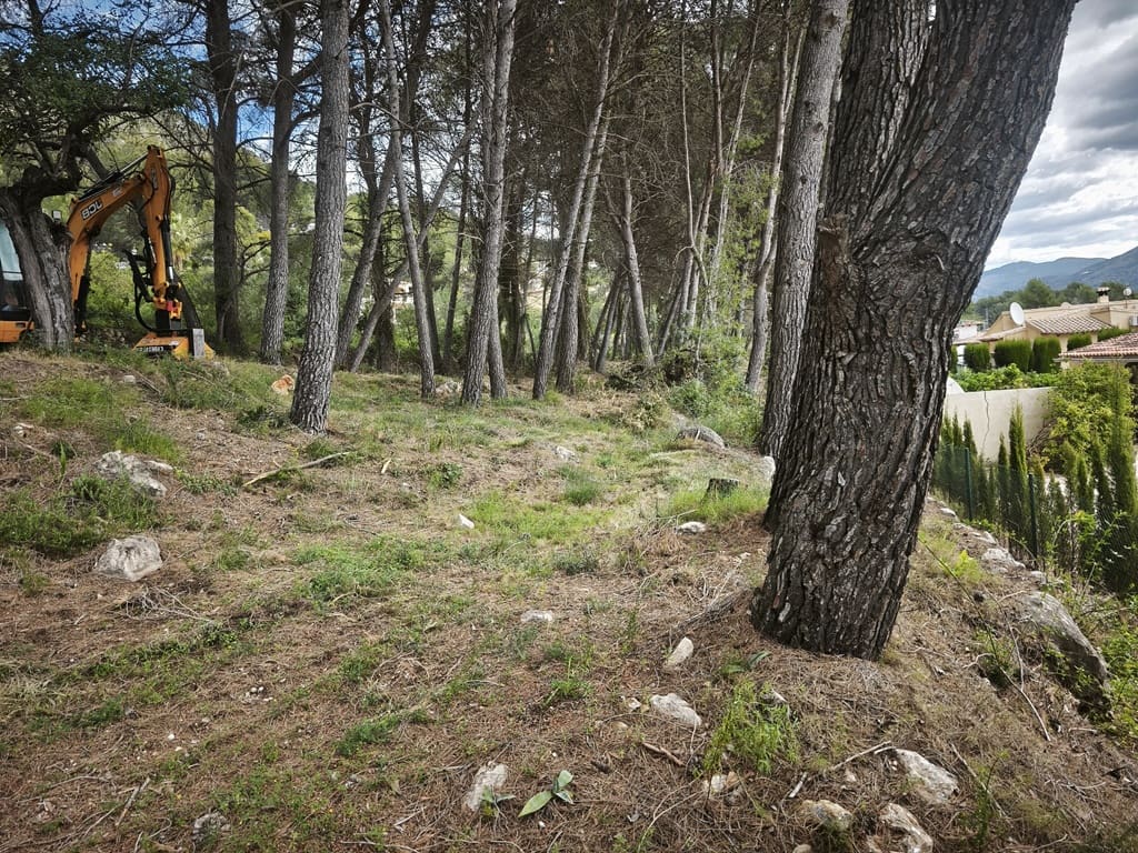 Building Plot for sale in Alcalali / Alcanali - € 300,000 (Ref: 9776836)