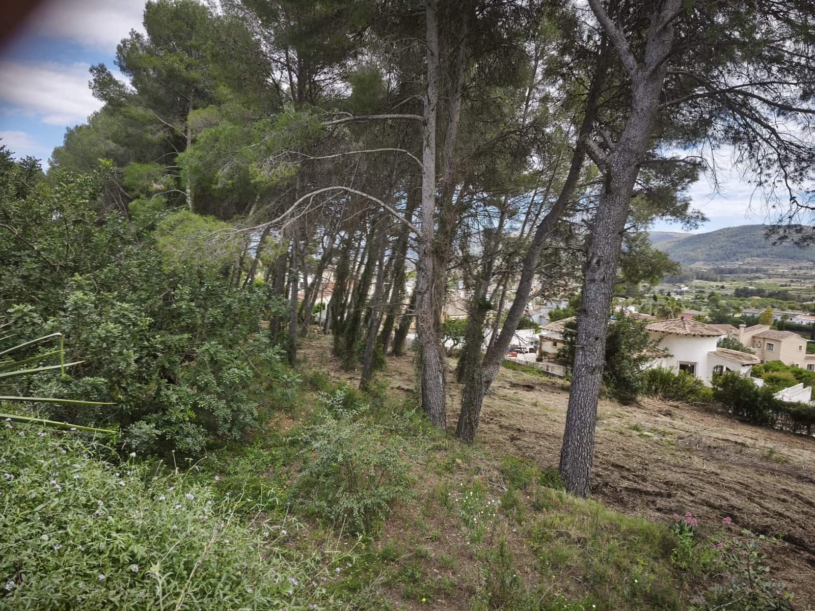 Building Plot for sale in Alcalali / Alcanali - € 300,000 (Ref: 9776836)
