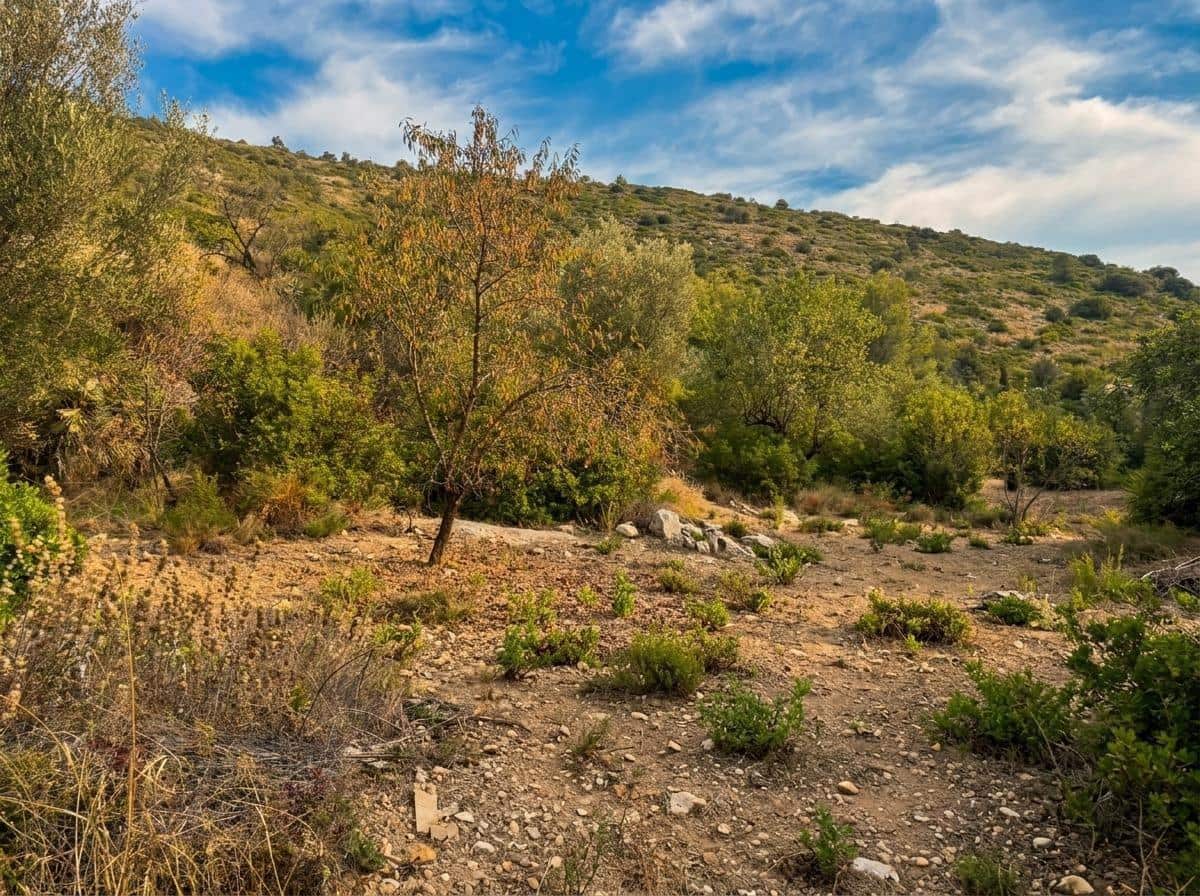 Byggegrund til salg i Denia - € 120.000 (Ref: 9977823)