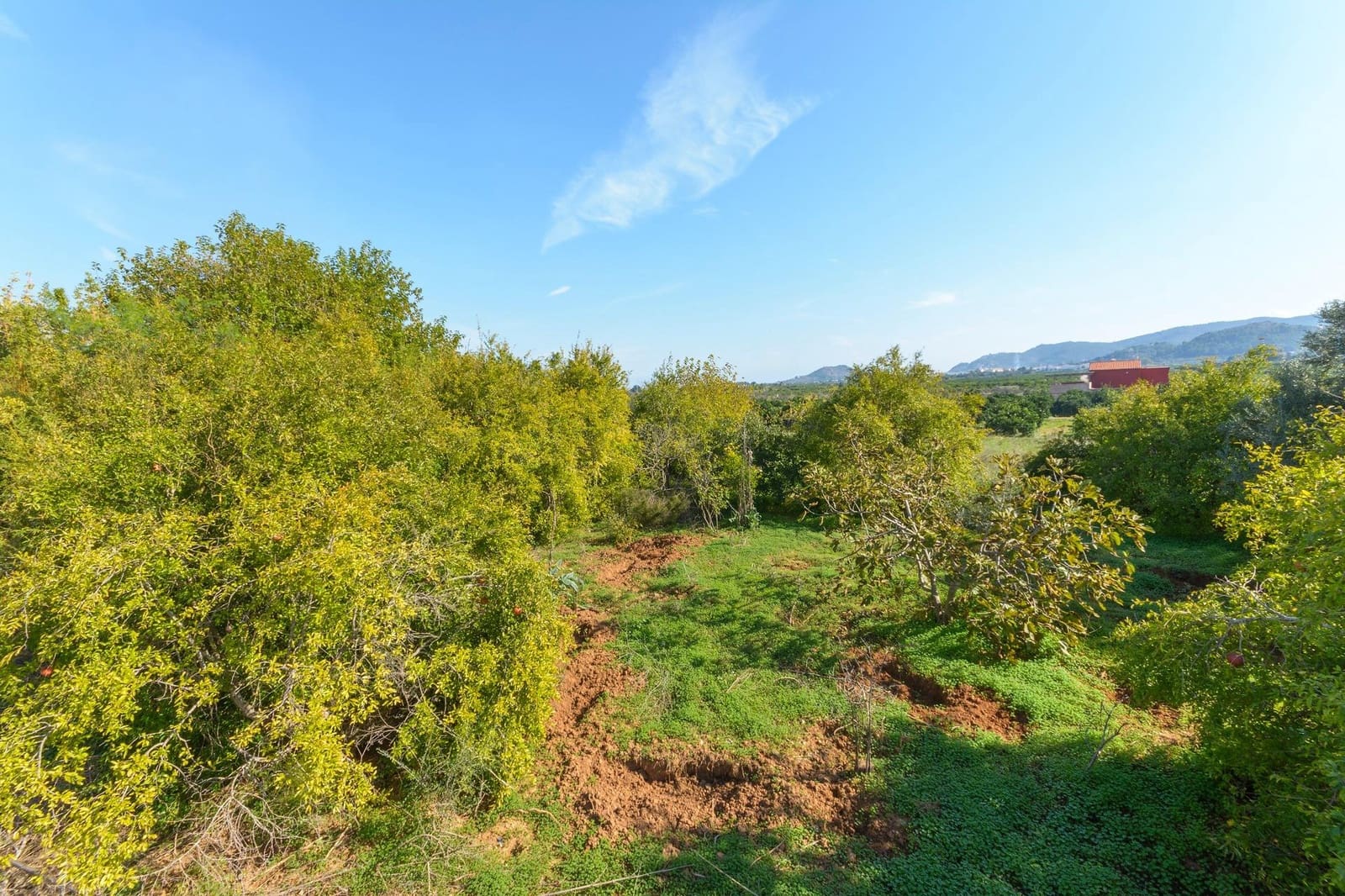 1 soverom Finca/Herregård til salgs i Ador med garasje - € 89 000 (Ref: 10187238)