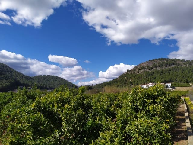 Undeveloped Land for sale in Real de Gandía - € 23,000 (Ref: 6184836)