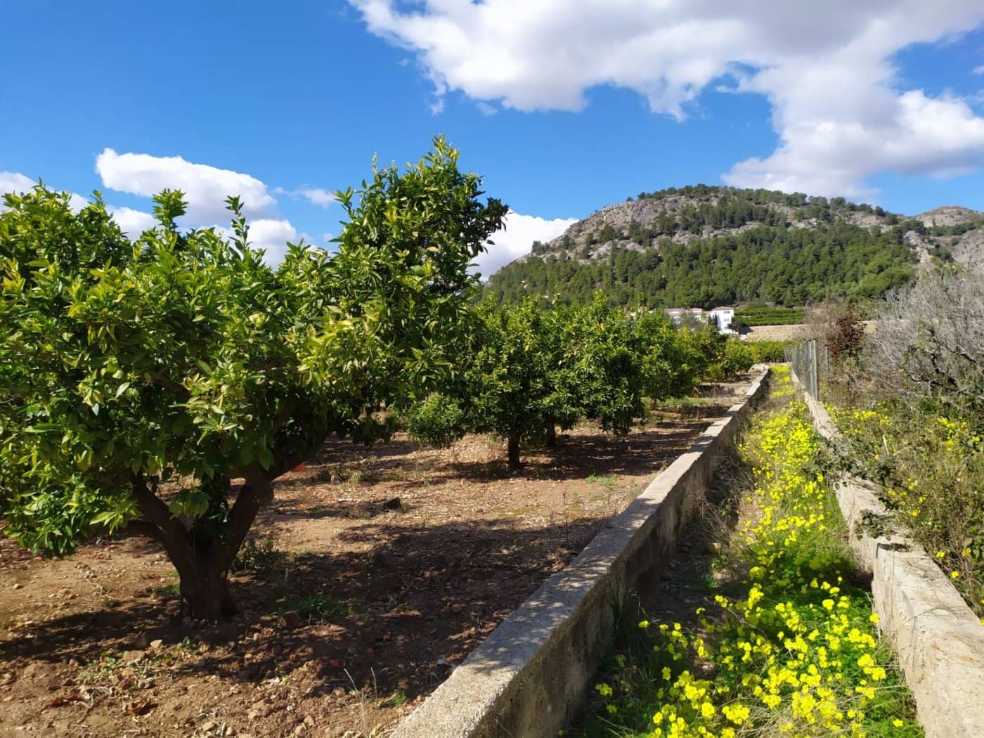 Grond te koop in Real de Gandia - € 23.000 (Ref: 6184836)