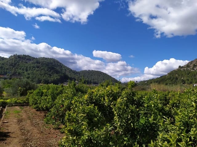 Undeveloped Land for sale in Real de Gandía - € 23,000 (Ref: 6184836)