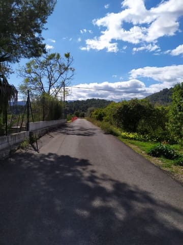 Undeveloped Land for sale in Real de Gandía - € 12,000 (Ref: 6184837)