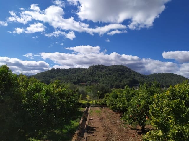 Undeveloped Land for sale in Real de Gandía - € 12,000 (Ref: 6184837)