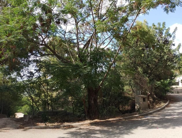 Building Plot for sale in Real de Gandía - € 47,900 (Ref: 7736985)