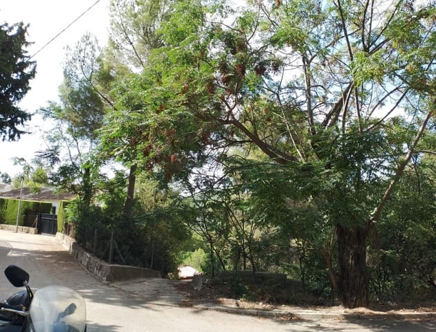 Building Plot for sale in Real de Gandía - € 47,900 (Ref: 7736985)