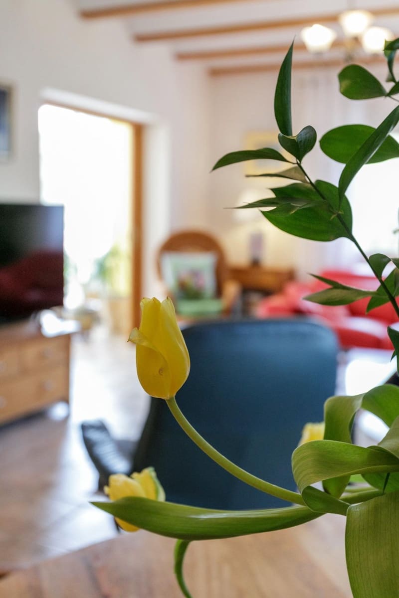 6 sypialnia Willa na sprzedaż w La Drova z basenem garażem - 565 000 € (Ref: 9940077)