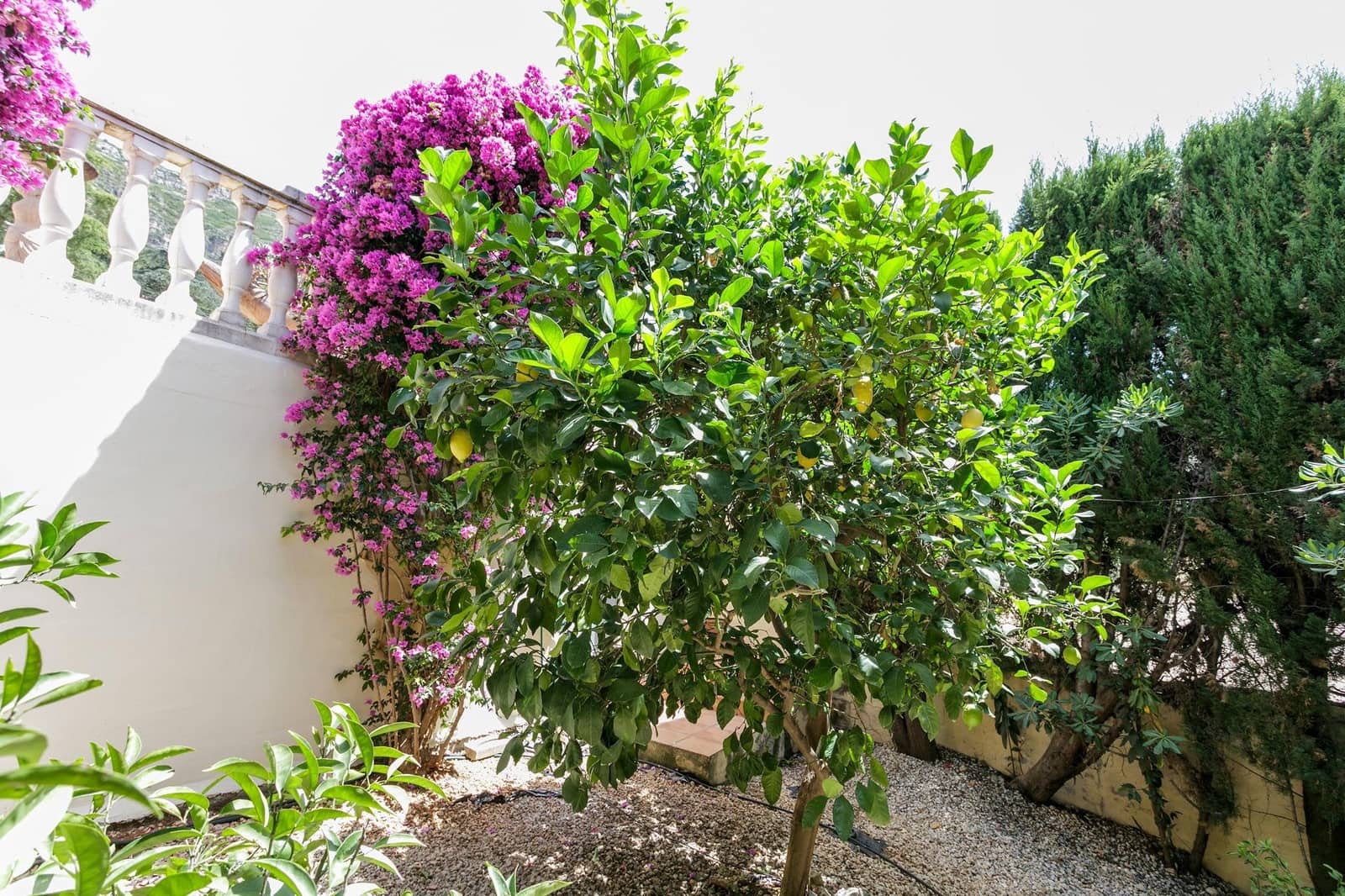 6 sypialnia Willa na sprzedaż w La Drova z basenem garażem - 565 000 € (Ref: 9940077)