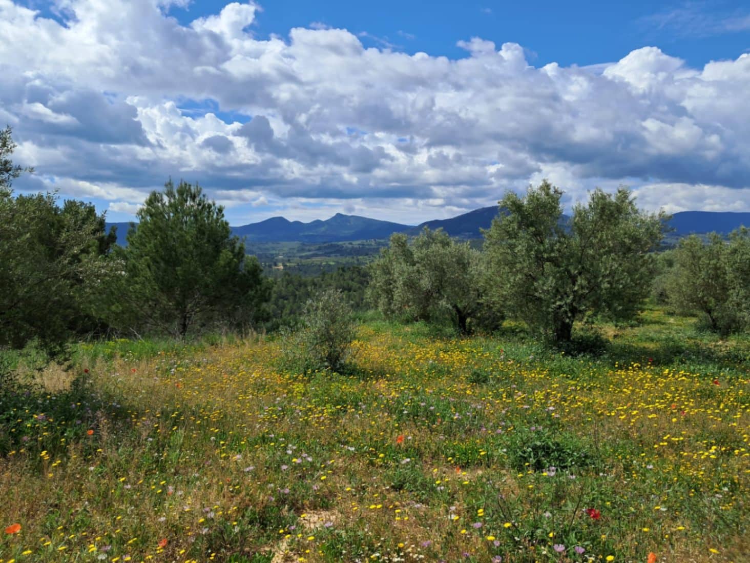 2 soverom Finca/Herregård til salgs i Millena med svømmebasseng garasje - € 140 000 (Ref: 9416200)