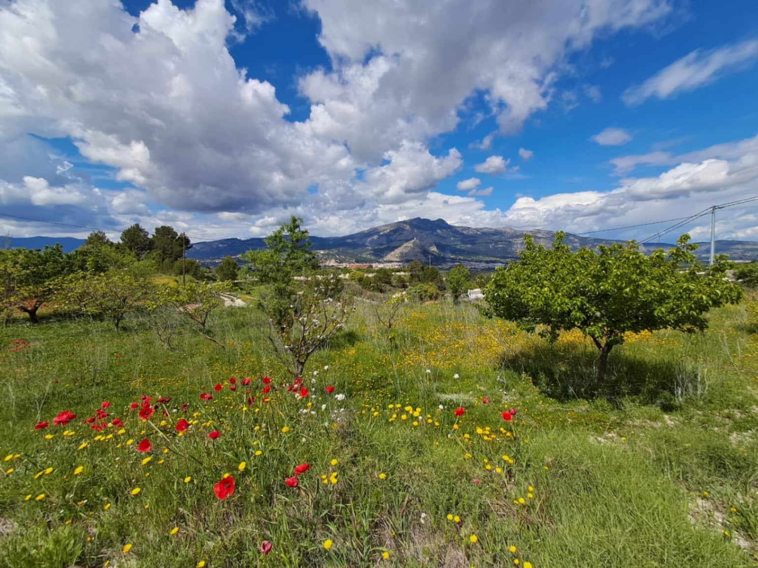 2 soverom Finca/Herregård til salgs i Millena med svømmebasseng garasje - € 140 000 (Ref: 9416200)