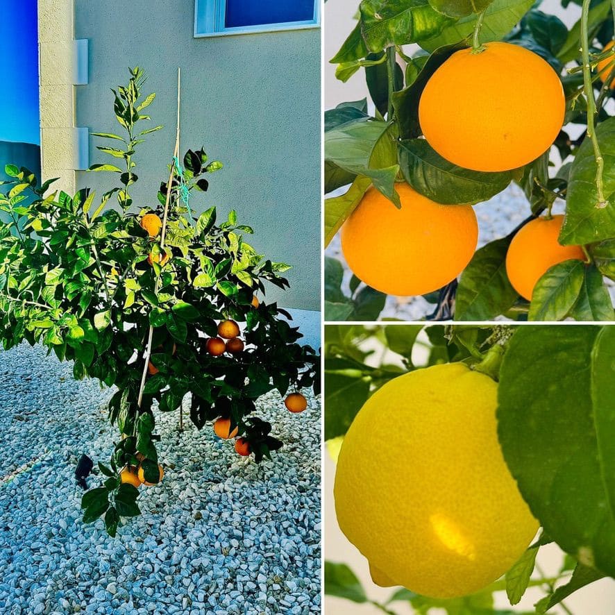 4 Zimmer Villa zu verkaufen in Alfaz del Pi / L'Alfas del Pi mit Pool Garage - 1.195.000 € (Ref: 9417942)