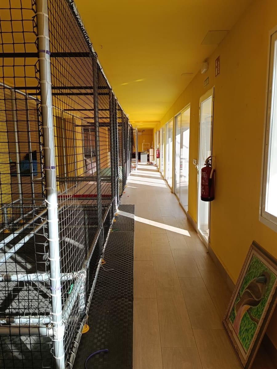 6 chambre Local Commercial à vendre à Javea / Xabia avec garage - 2 500 000 € (Ref: 10159106)