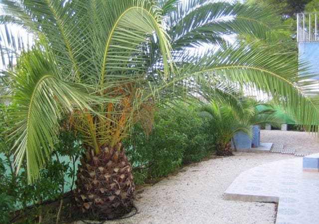 6 Zimmer Villa zu verkaufen in Javea / Xàbia - 1.260.000 € (Ref: 5906570)