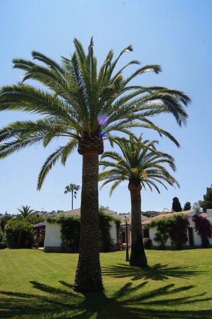   5 soveværelse   ferieVilla i Javea / Xabia   med   swimmingpool  garage  - € 6.500 (Ref: 5925039)