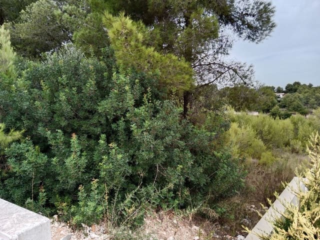 Teren niezagospodarowany na sprzedaż w Cap Martí - El Tossalet - Pinomar, Javea / Xàbia - 180 000 € (Ref: 7015531)