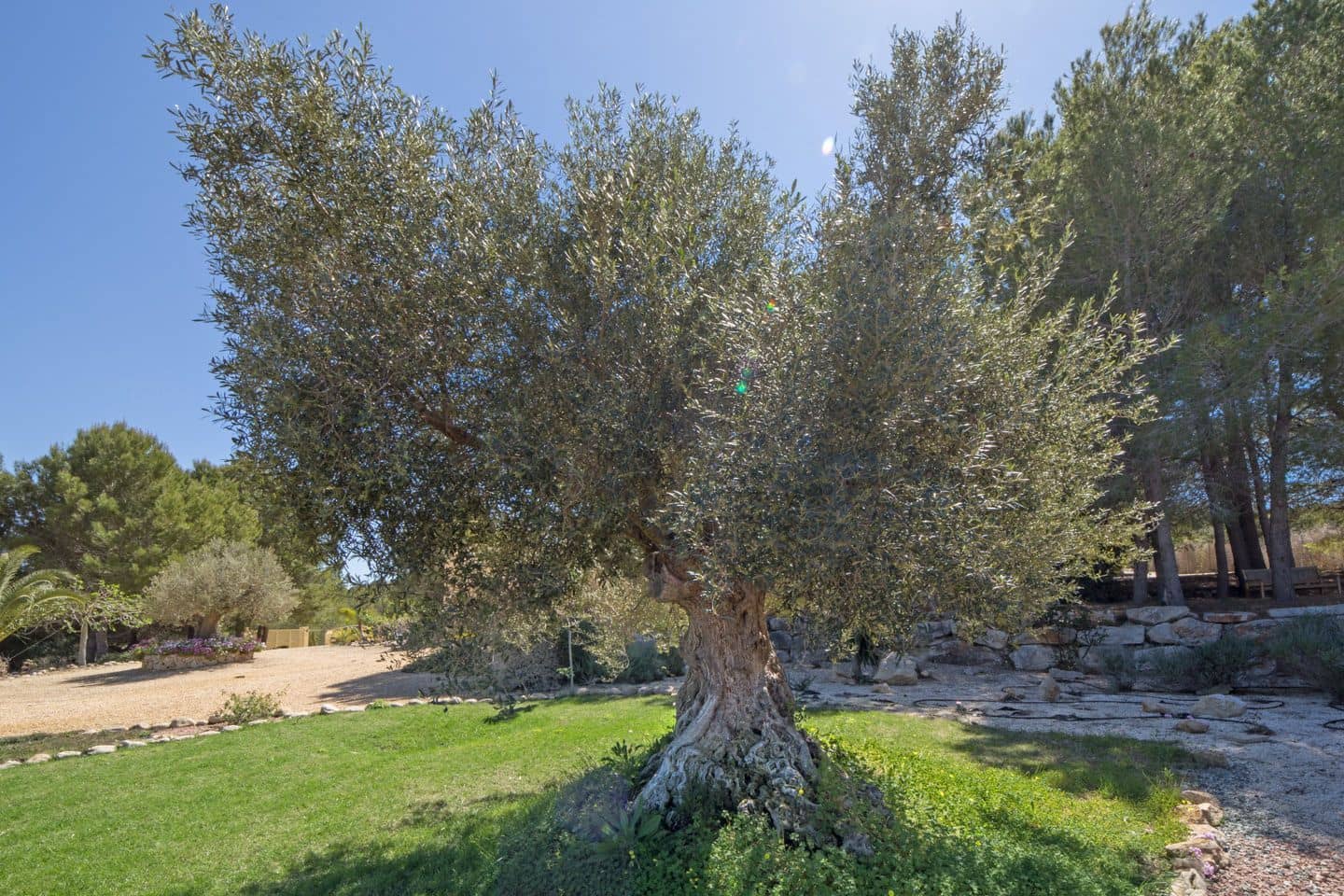 Chalet de 8 habitaciones en Javea / Xàbia en venta con piscina garaje - 2.600.000 € (Ref: 9780216)