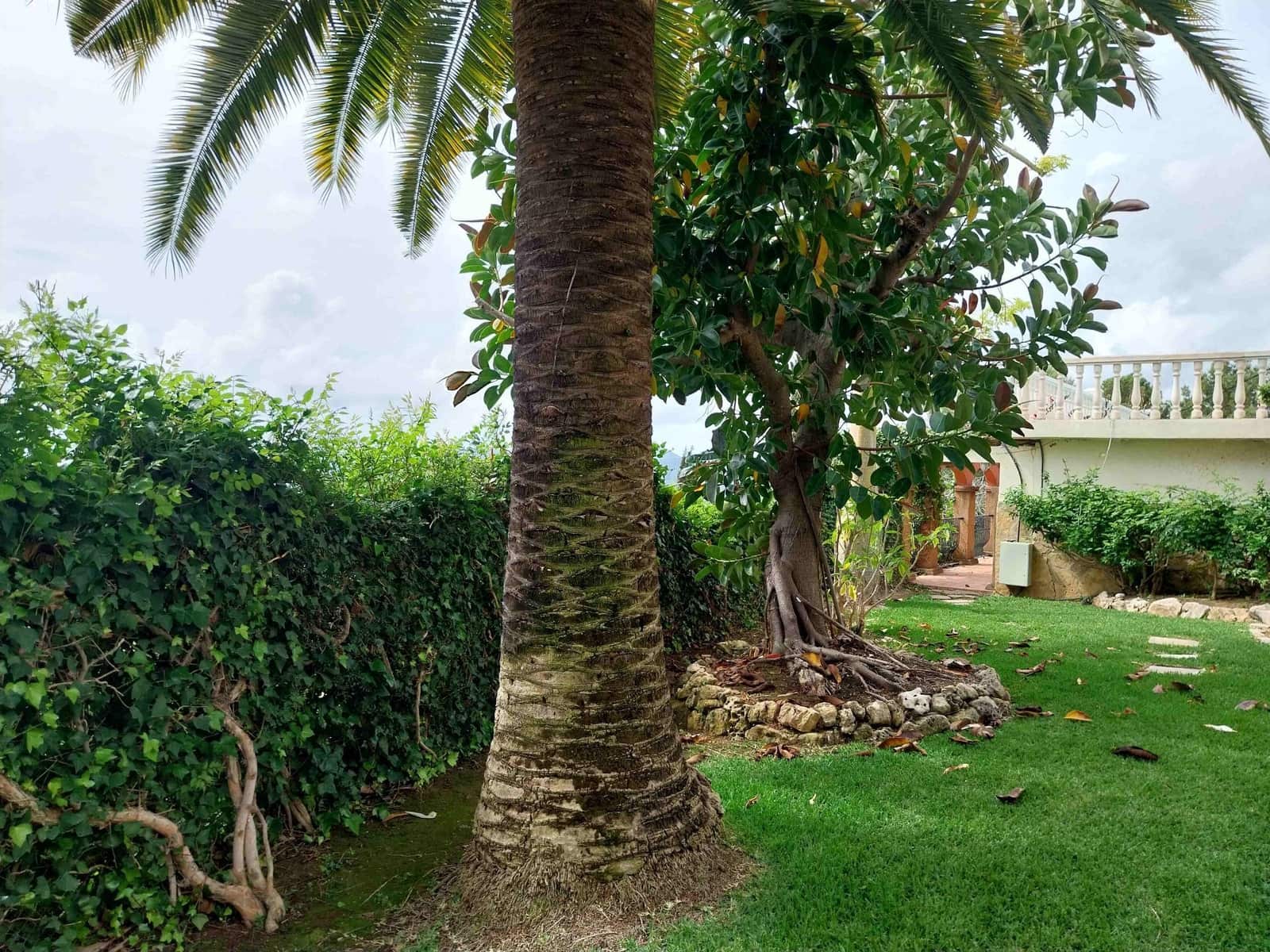 4 bedroom Villa for rent in Javea / Xabia with pool garage - € 3,200 (Ref: 9821853)