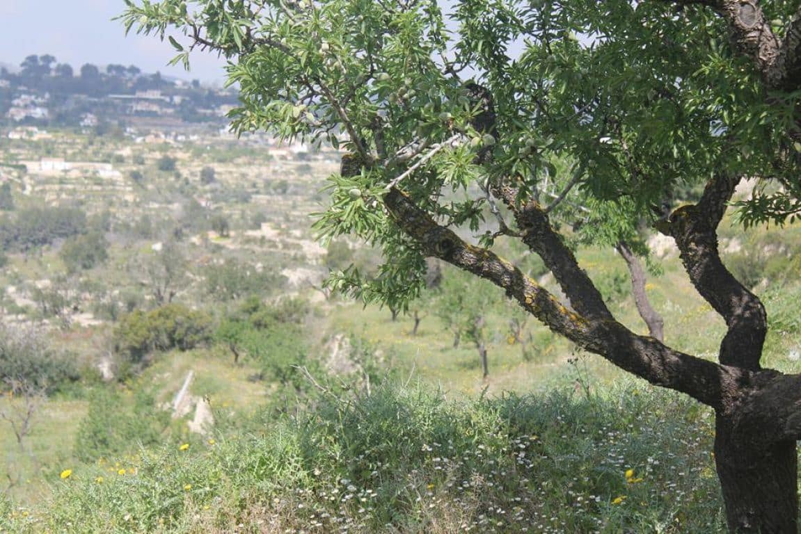 Solar/Parcela en Benissa en venta - 170.000 € (Ref: 3381650)