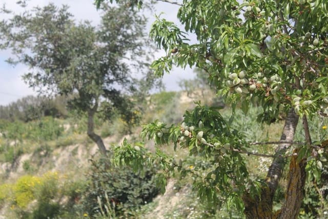 Solar/Parcela en Benissa en venta - 170.000 € (Ref: 3381650)