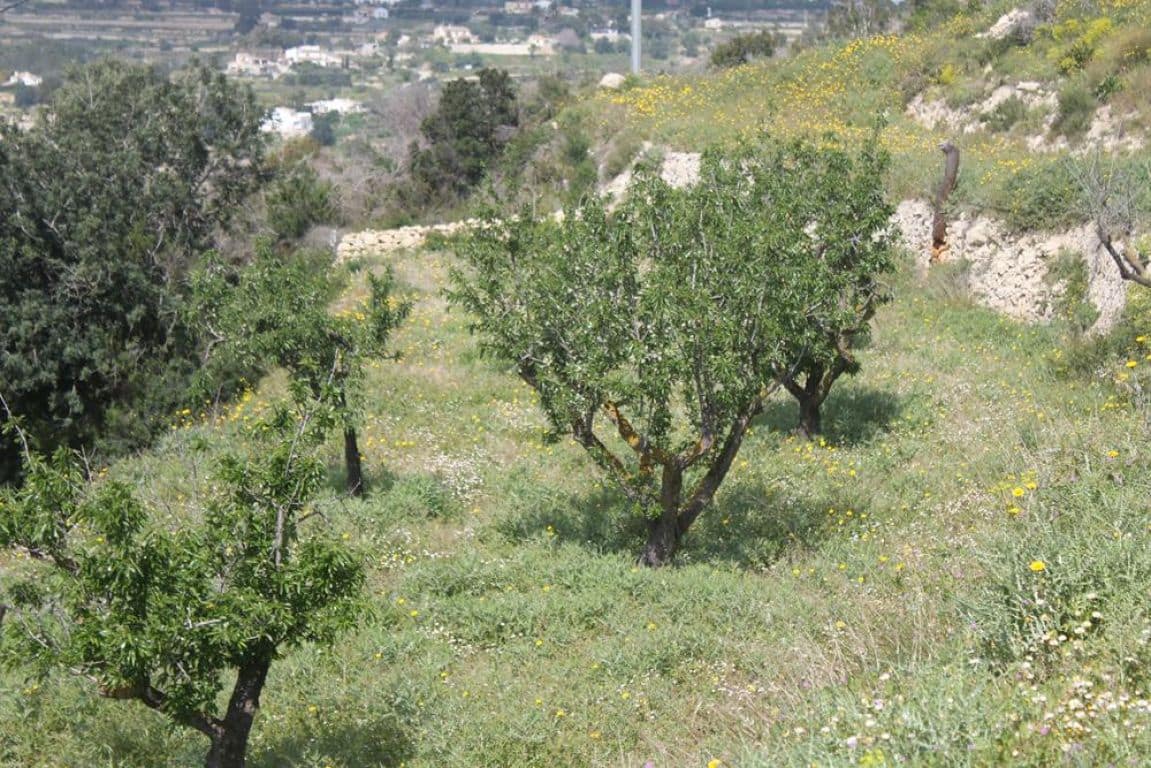 Solar/Parcela en Benissa en venta - 170.000 € (Ref: 3381650)