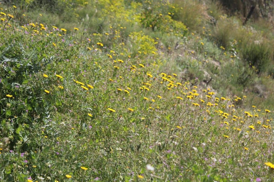 Solar/Parcela en Benissa en venta - 170.000 € (Ref: 3381650)